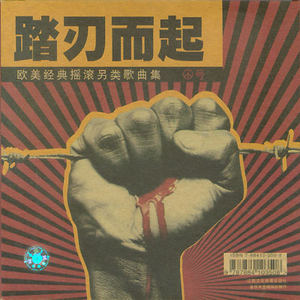 男生jjjj插入女生阴道的久久久视频
