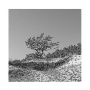 男生jjjj插入女生阴道的久久久视频
