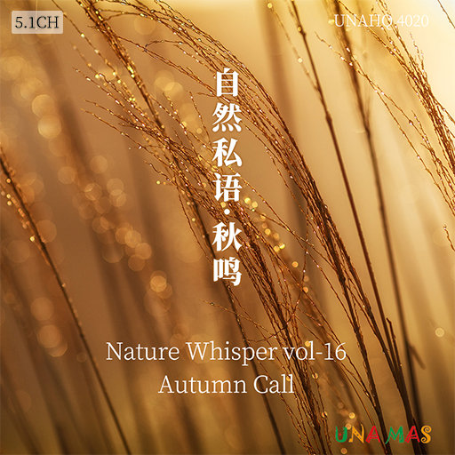 男生jjjj插入女生阴道的久久久视频
